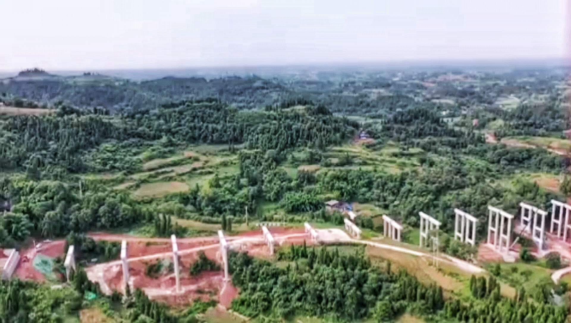 微信图片_20200730180022.jpg