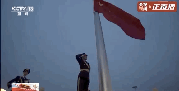 8.gif