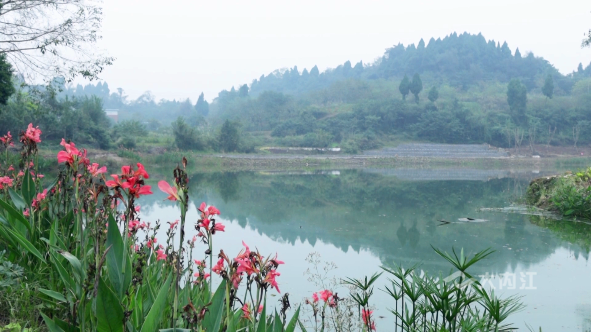 微信图片_20201104111909.png