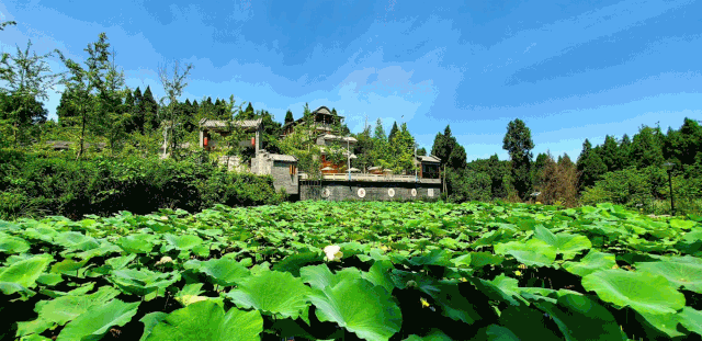 微信图片_20201102204027.gif