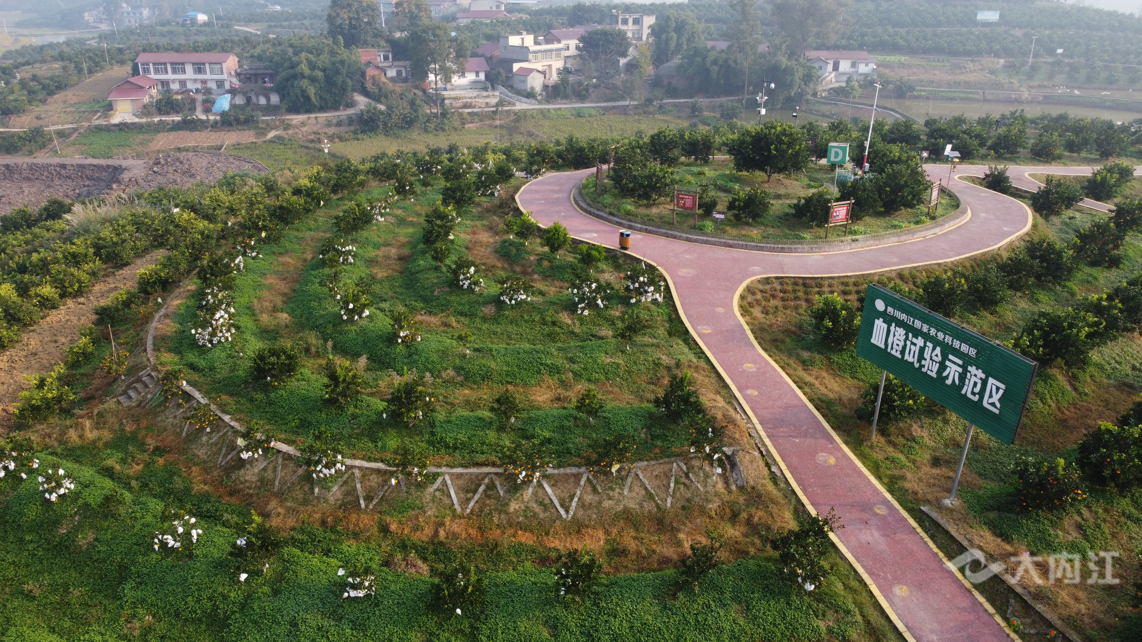 DJI_0143.JPG