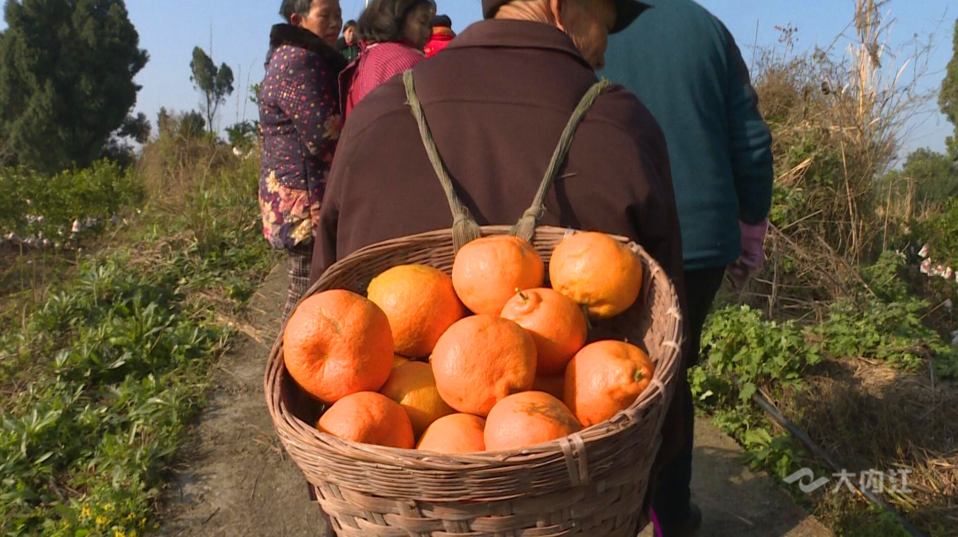 281606_1611840379889124.jpg QQ图片20210128212518.jpg