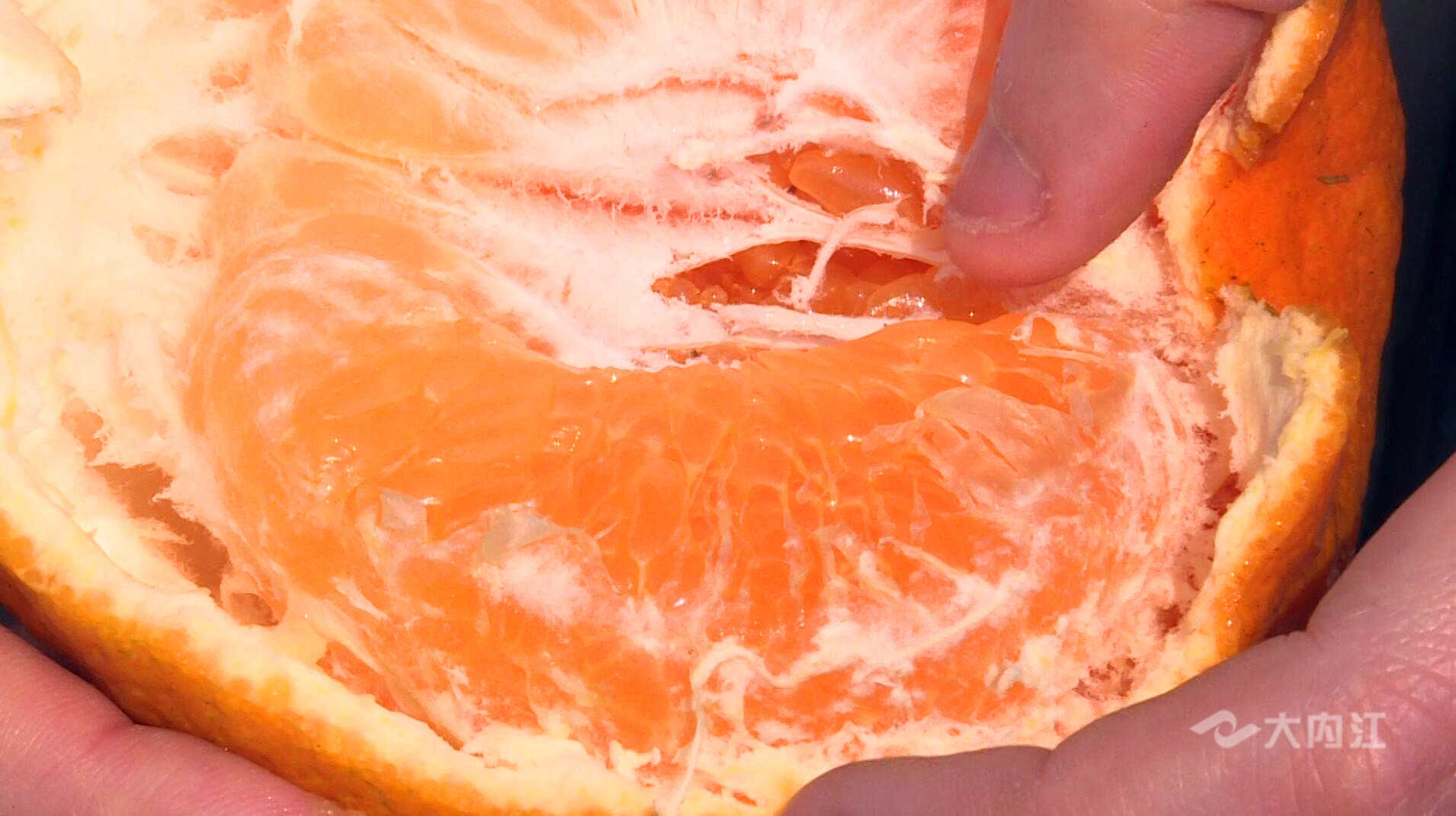 281606_1611840390766003.jpg QQ图片20210128212512.jpg