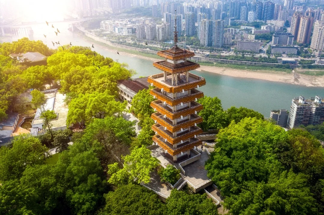 重庆22.webp.jpg