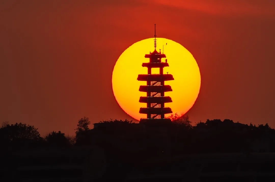 重庆23.webp.jpg
