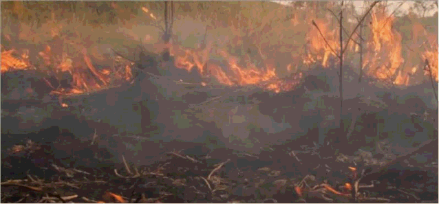 防火2.gif