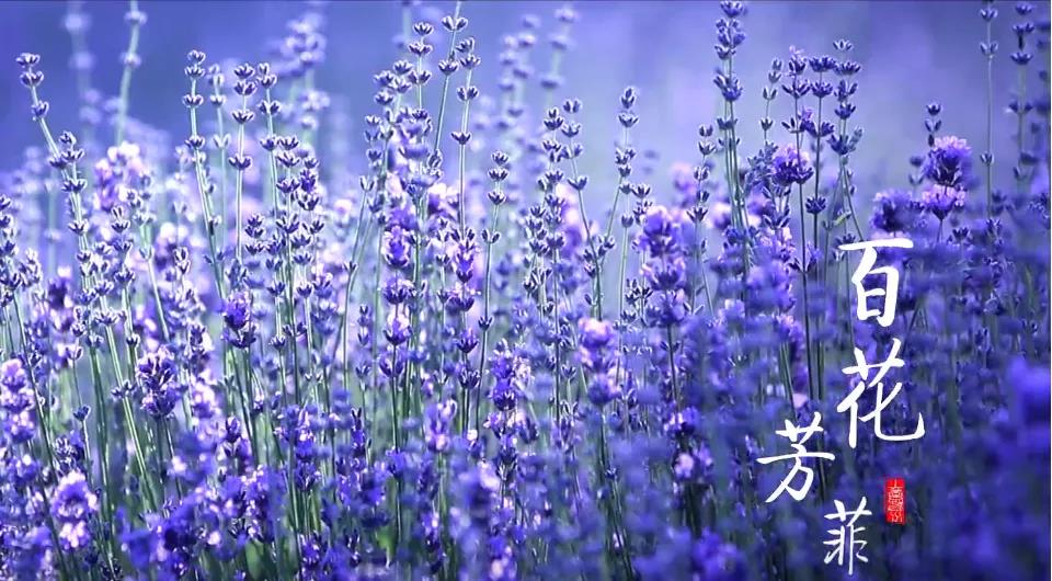 防火10.jpg