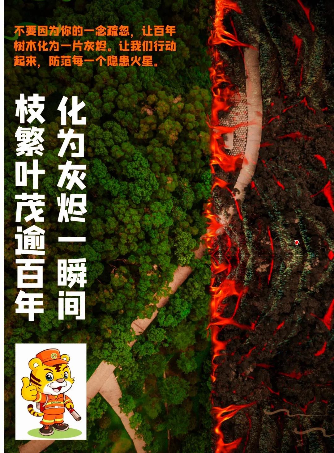 火26.jpg