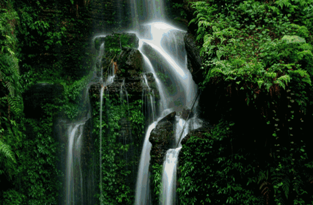 282377_1610966333257926.gif 19.gif