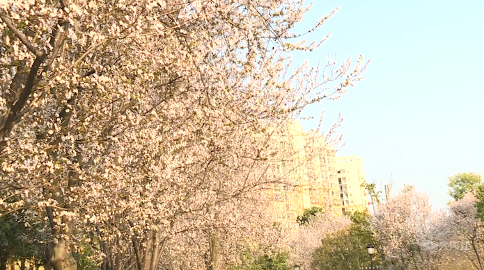269955_1614224496184015.png 图片10.png