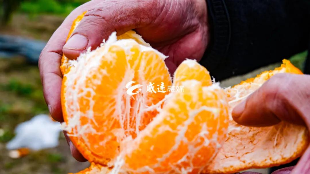 微信图片_20210215143224.jpg