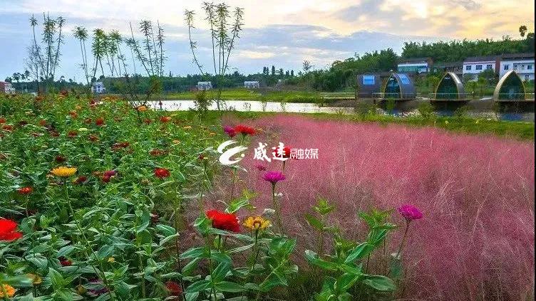 微信图片_20210215143238.jpg