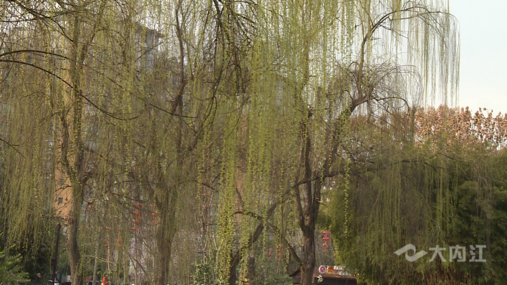 281877_1613821983264093.jpg QQ图片20210220194908.jpg