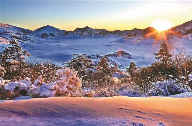 川渝3.jpg