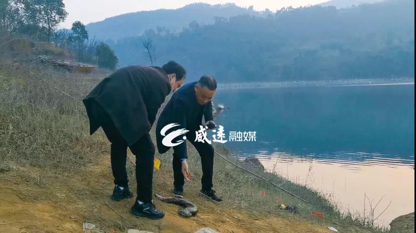 282377_1613737197555899.jpg 微信图片_20210219202336.jpg