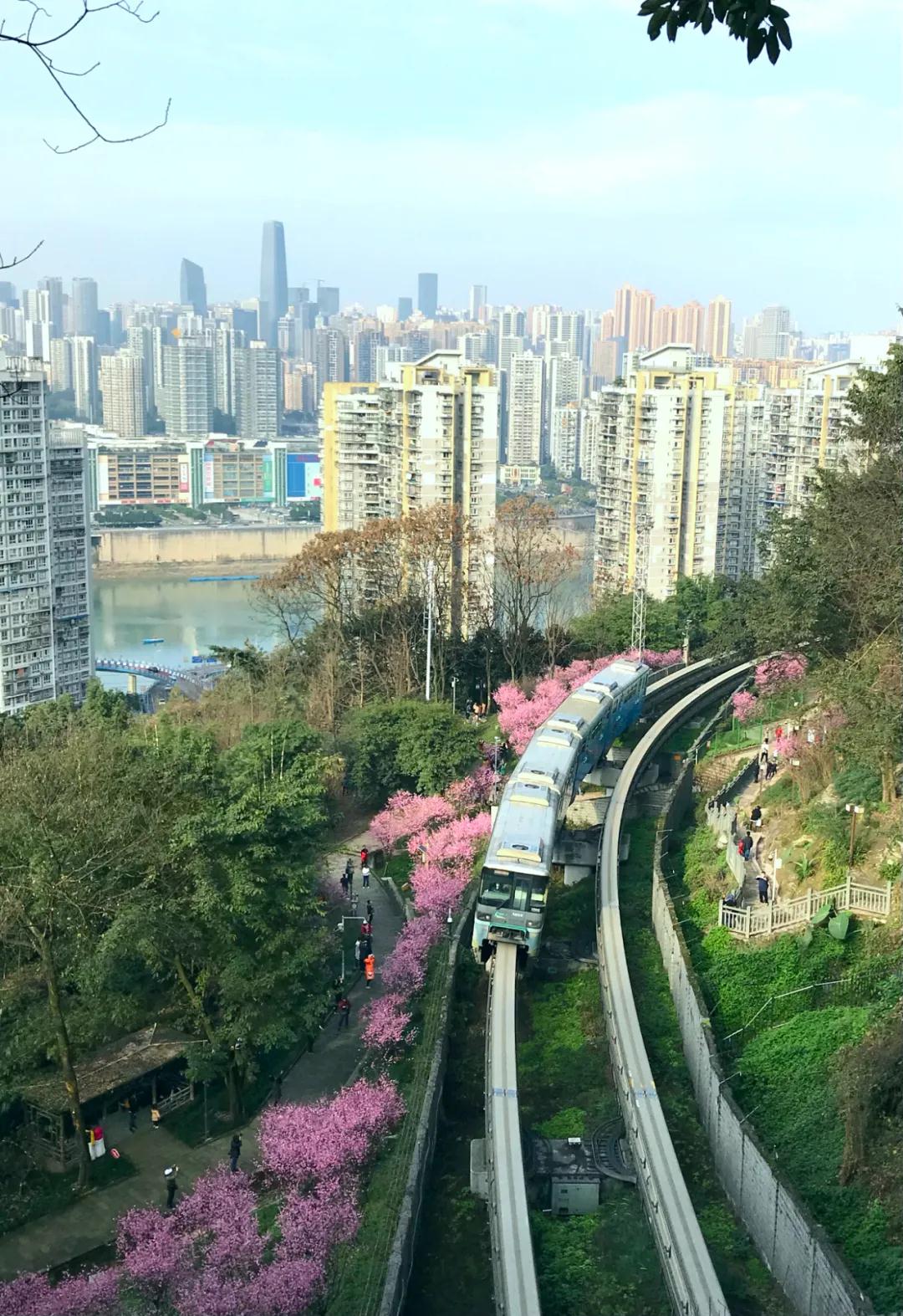 重庆3.jpg