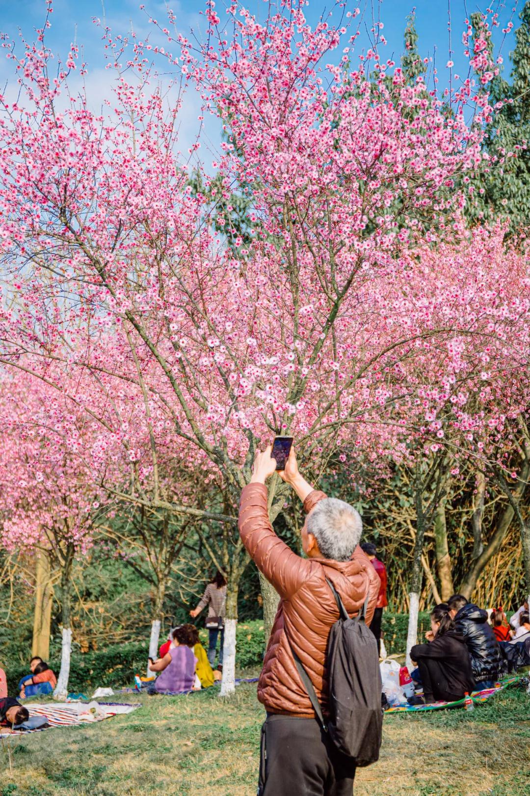 重庆7.jpg