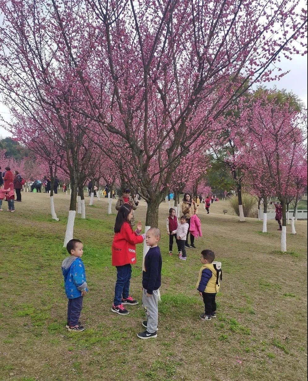 重庆9.jpg