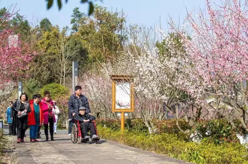 重庆60.jpg