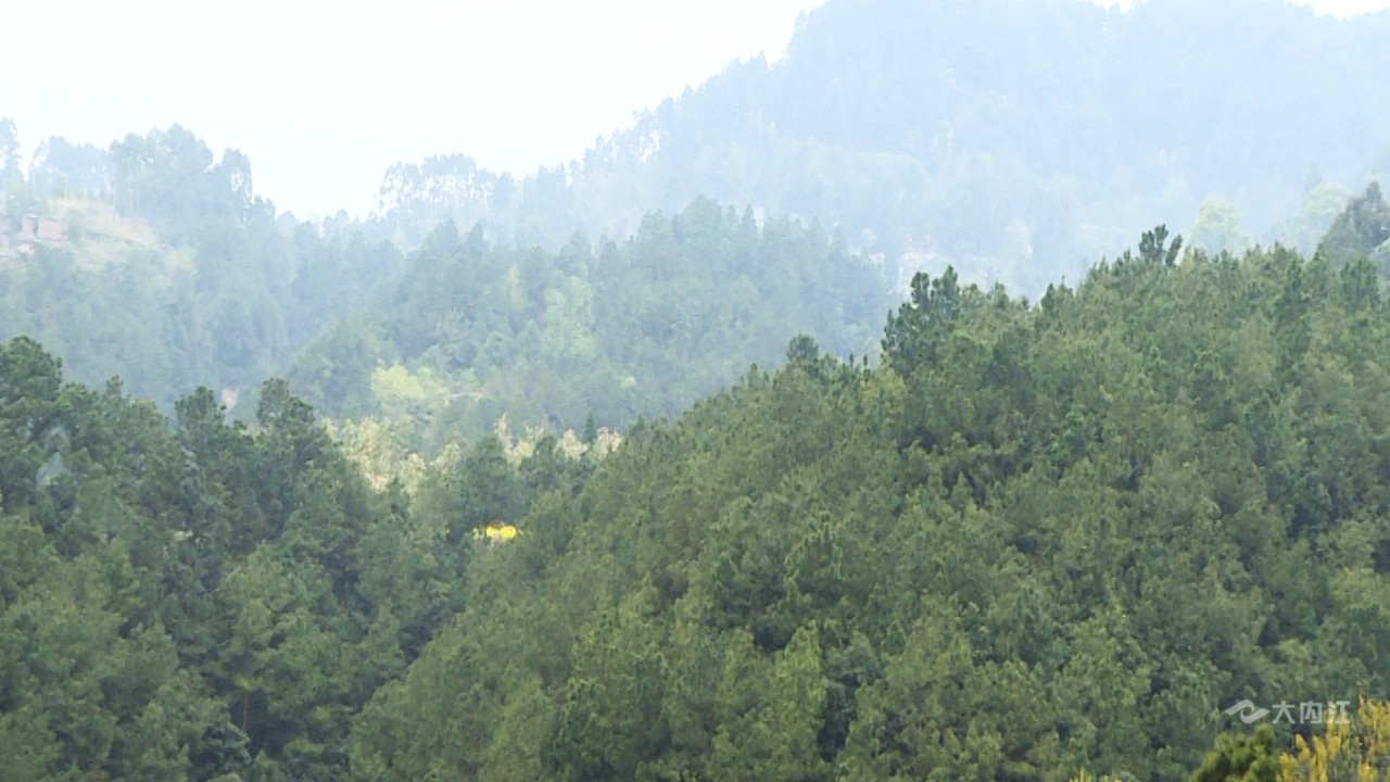 序列 01.00_05_01_16.静止007.jpg