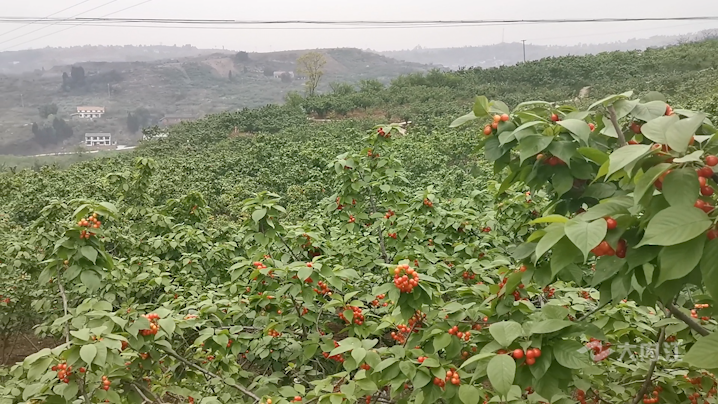 281877_1616640187740581.png 2.png