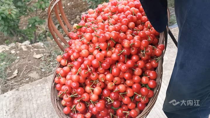 281877_1616640194997089.png 1.png