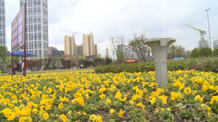 281877_1616660325254678.png 50.png