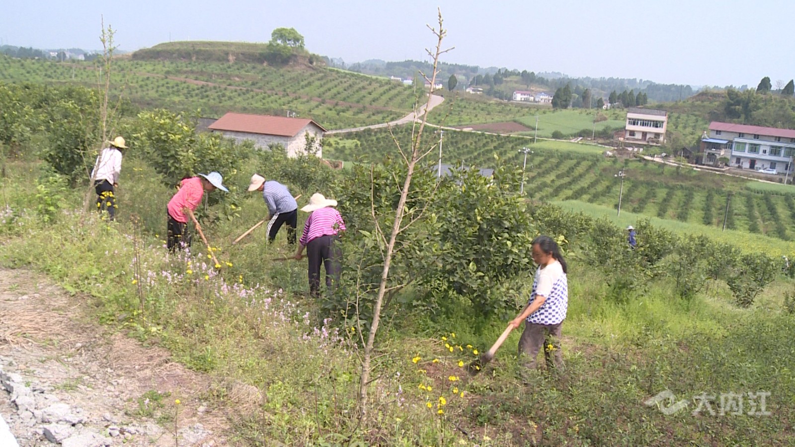 282022_1615887413163882.jpg 308_2871_01.00_03_45_11.静止012.jpg