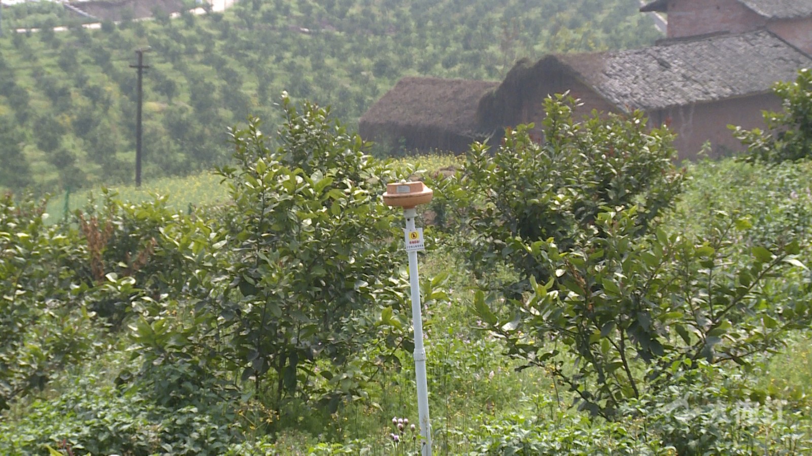 282022_1615887430786610.jpg 308_2871_01.00_00_38_21.静止003.jpg