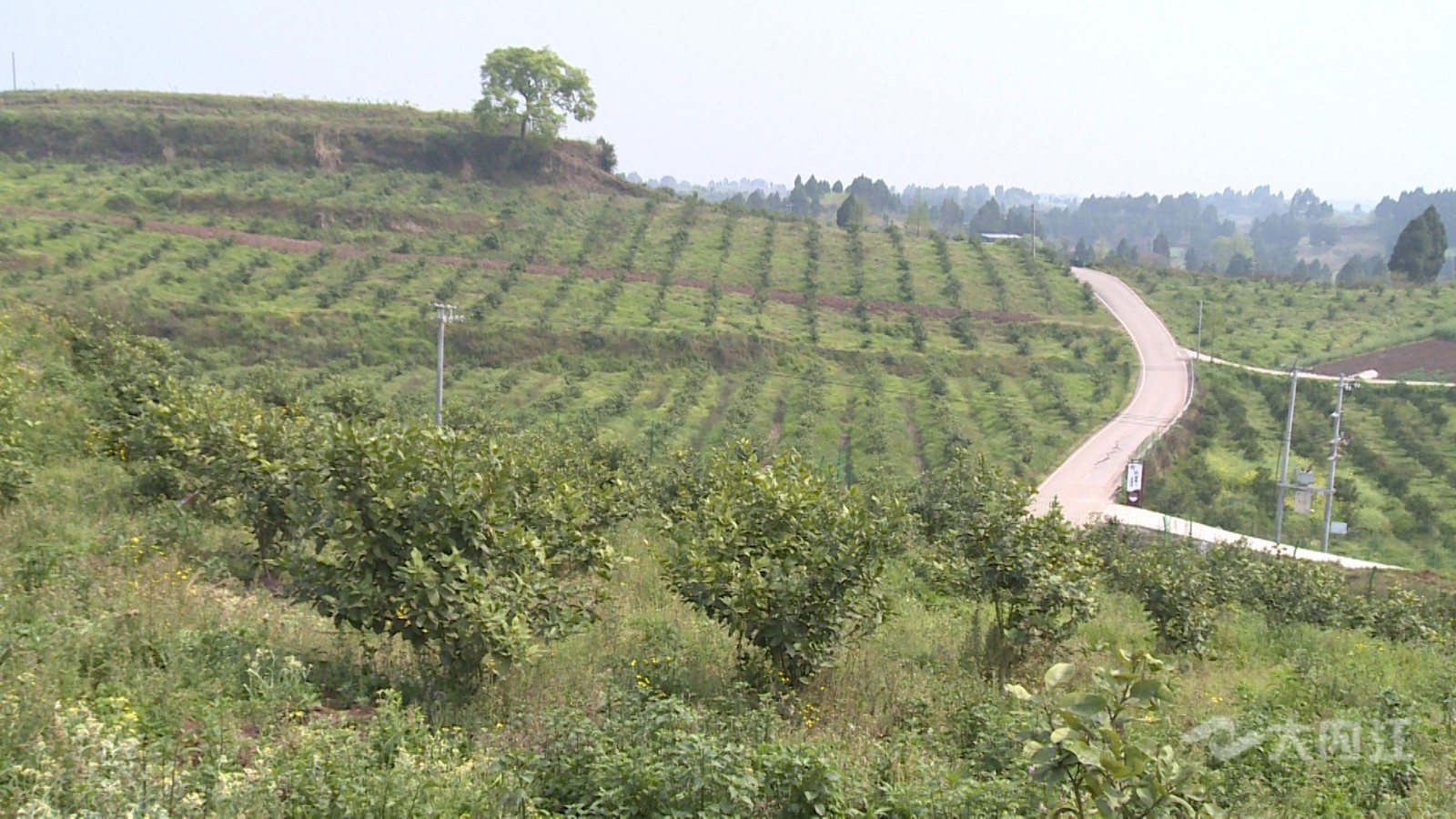 282022_1615887474157872.jpg 308_2871_01.00_00_11_15.静止001.jpg