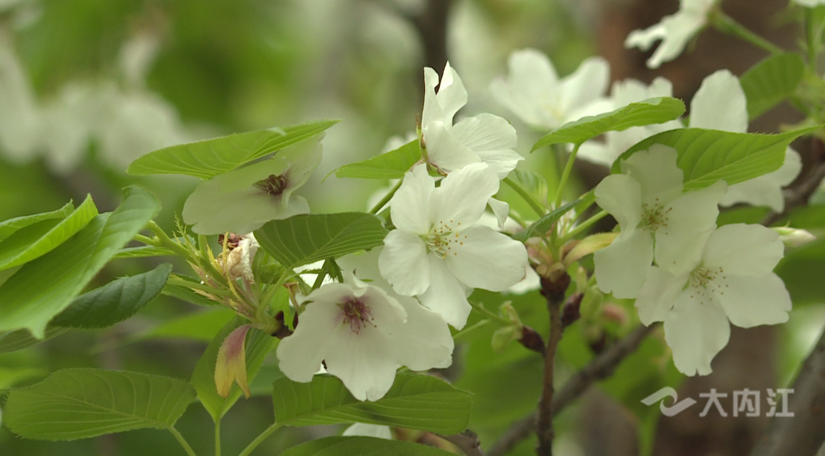 282377_1615434866244430.png QQ图片20210311082118.png