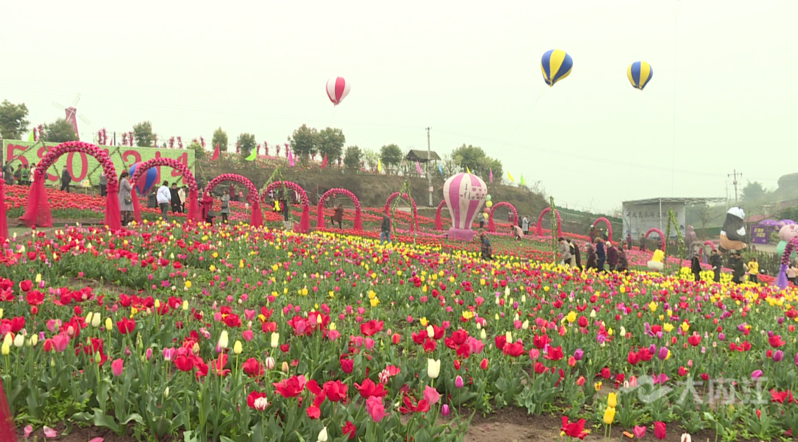 282377_1615434884596165.png QQ图片20210311082140.png