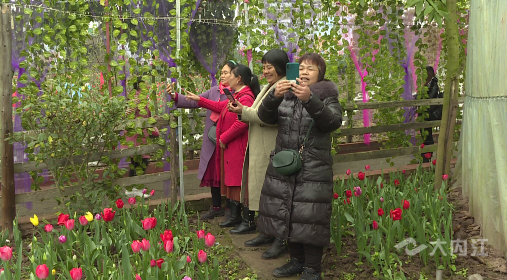 282377_1615434896140883.png QQ图片20210311082148.png