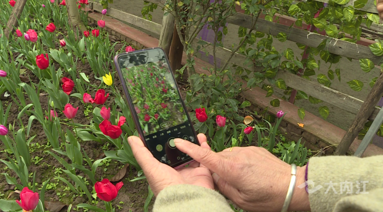 282377_1615434931253286.png QQ图片20210311082144.png