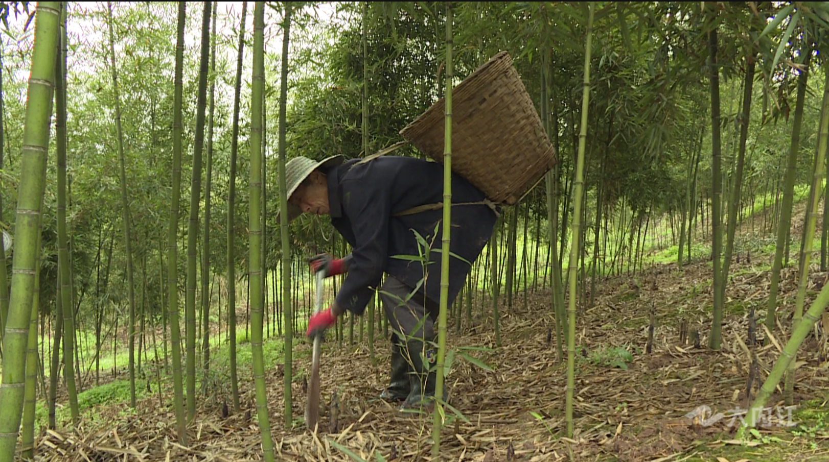 282377_1615446262432991.png QQ图片20210311085936.png