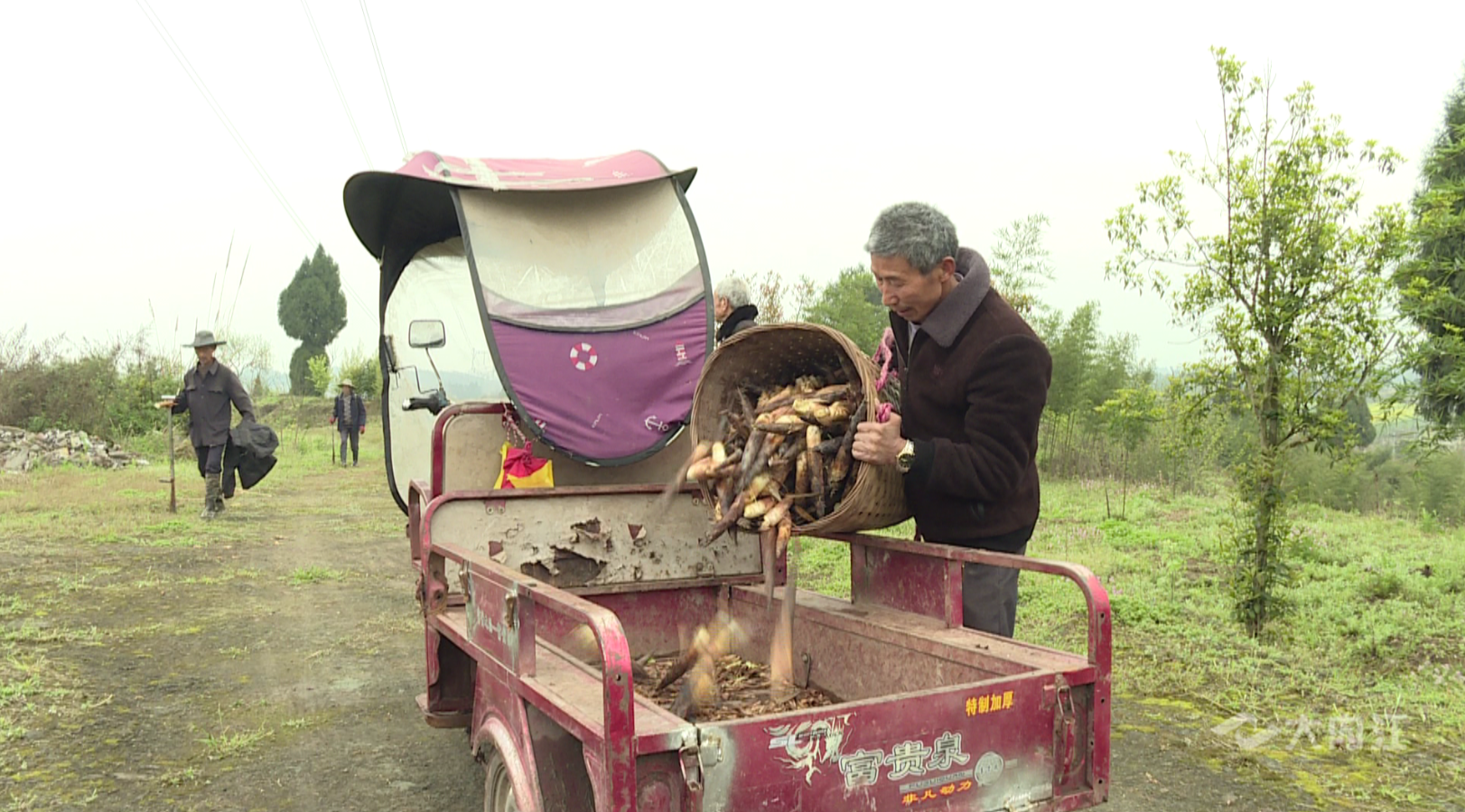 282377_1615446277328426.png QQ图片20210311085929.png