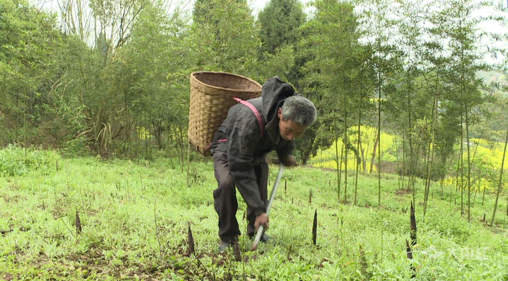 282377_1615446295235352.png QQ图片20210311085939.png