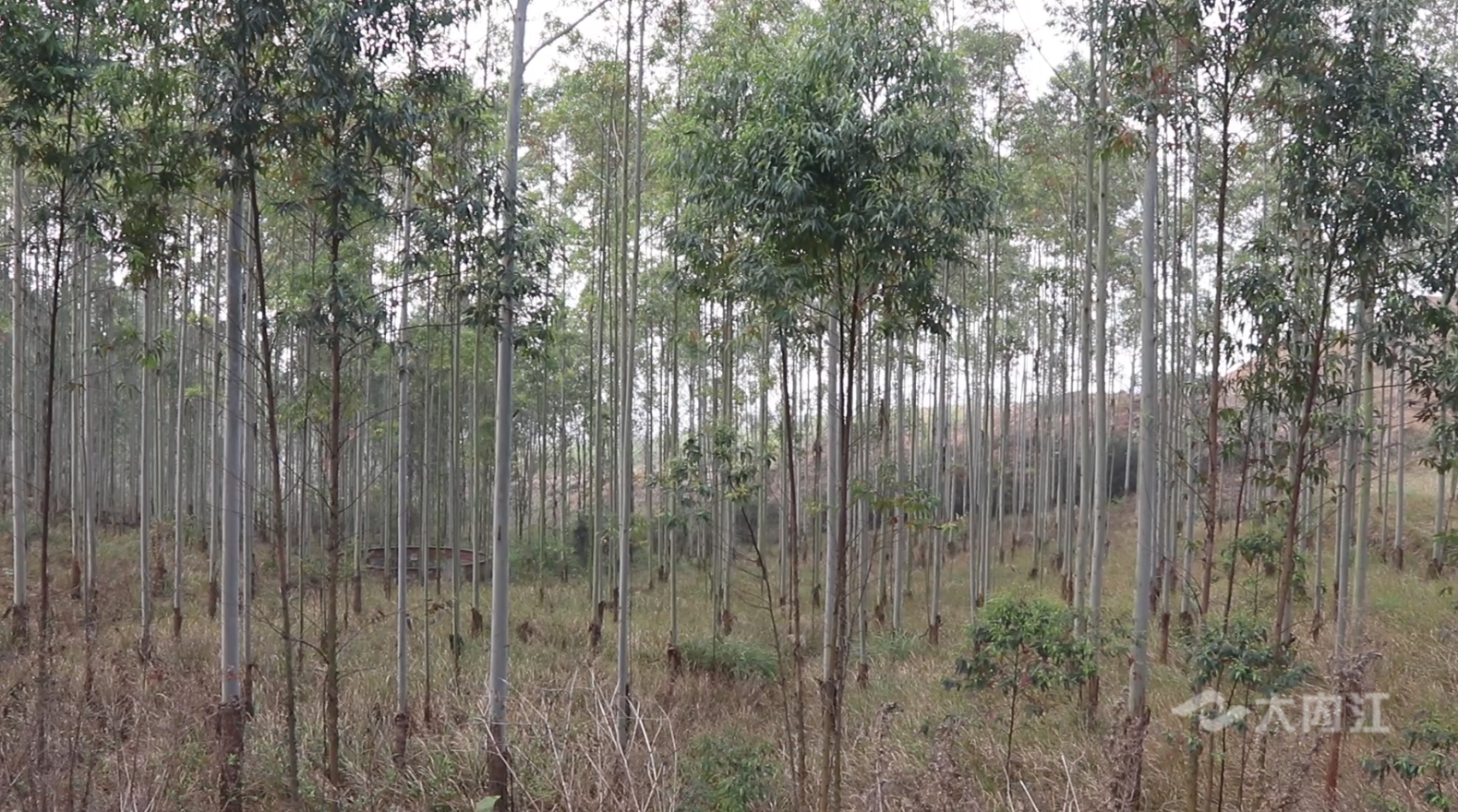 282377_1615717111821523.png 耕地4.png