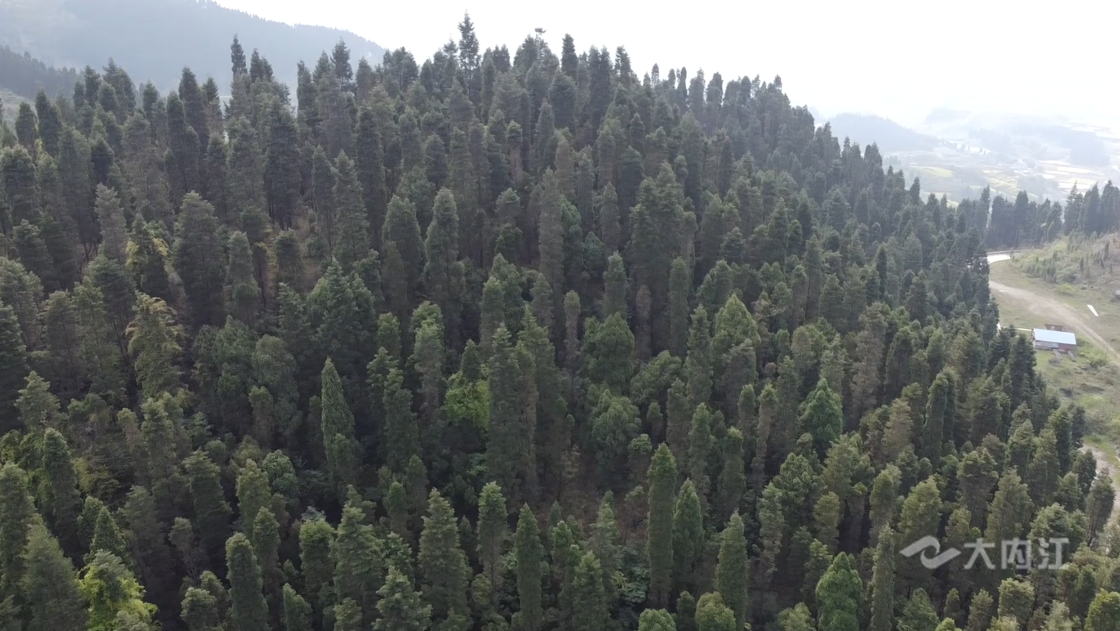 282377_1615717144350823.png 耕地5.png