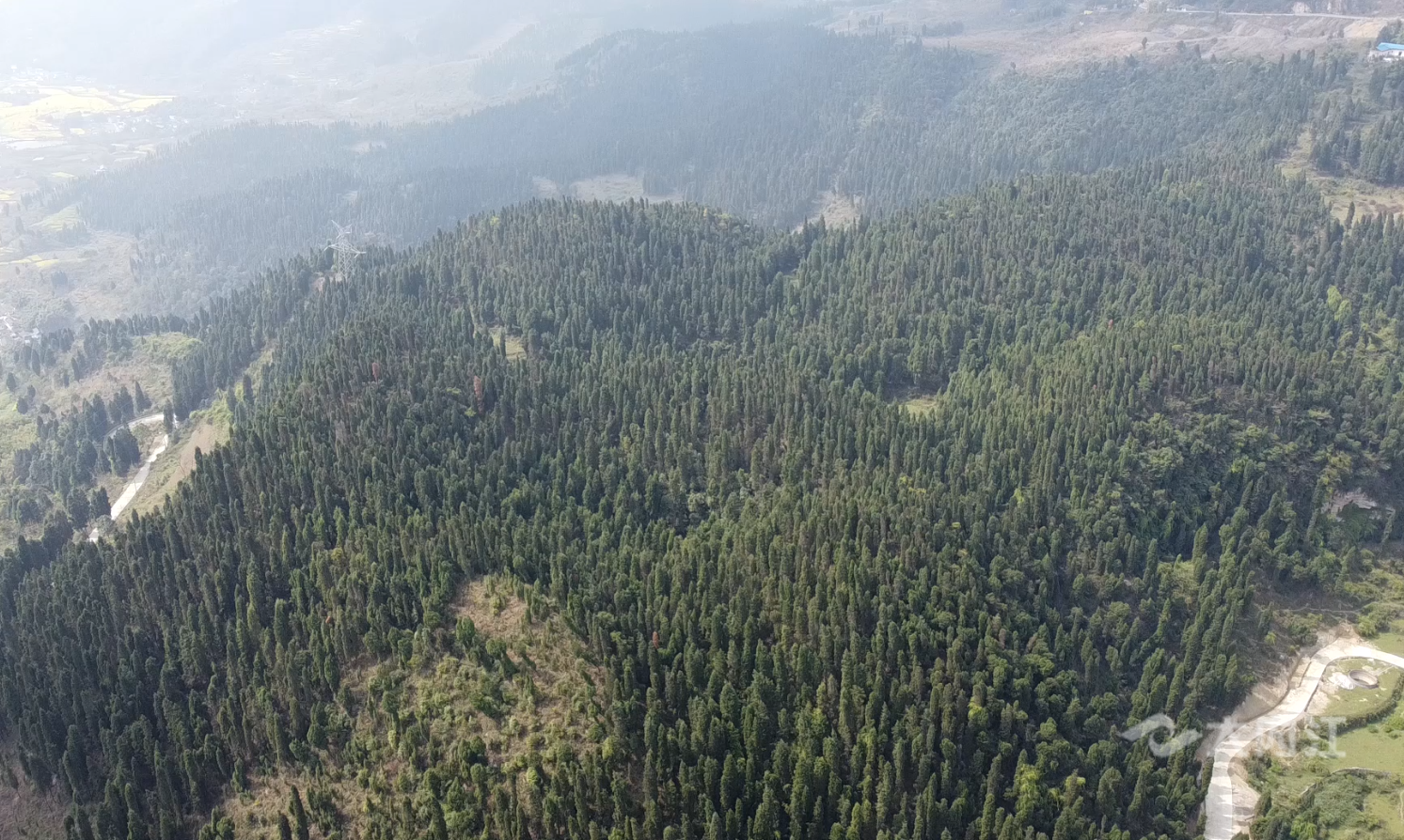 282377_1615718840400013.png 耕地7.png