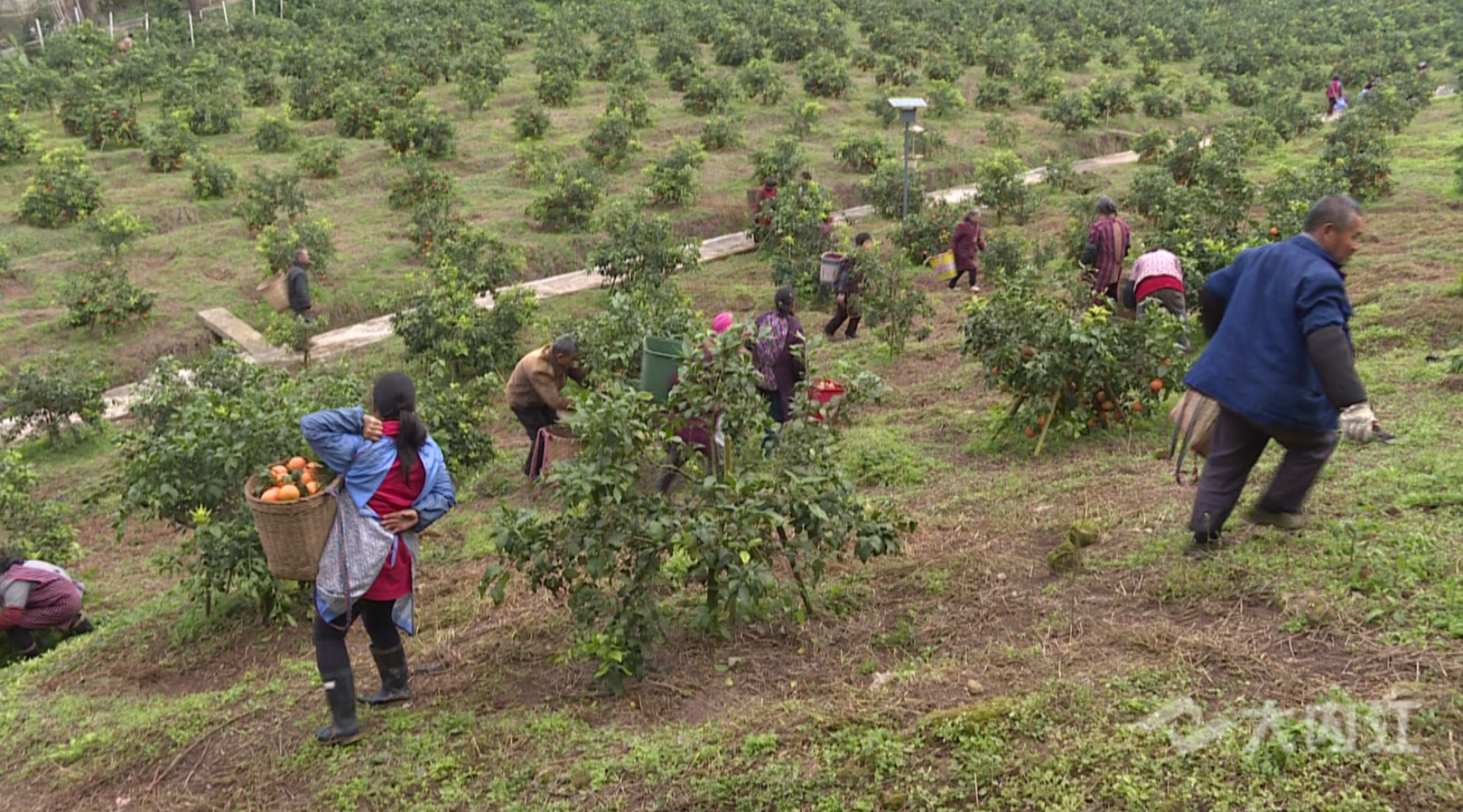 282377_1615971855907950.png QQ图片20210317074431.png