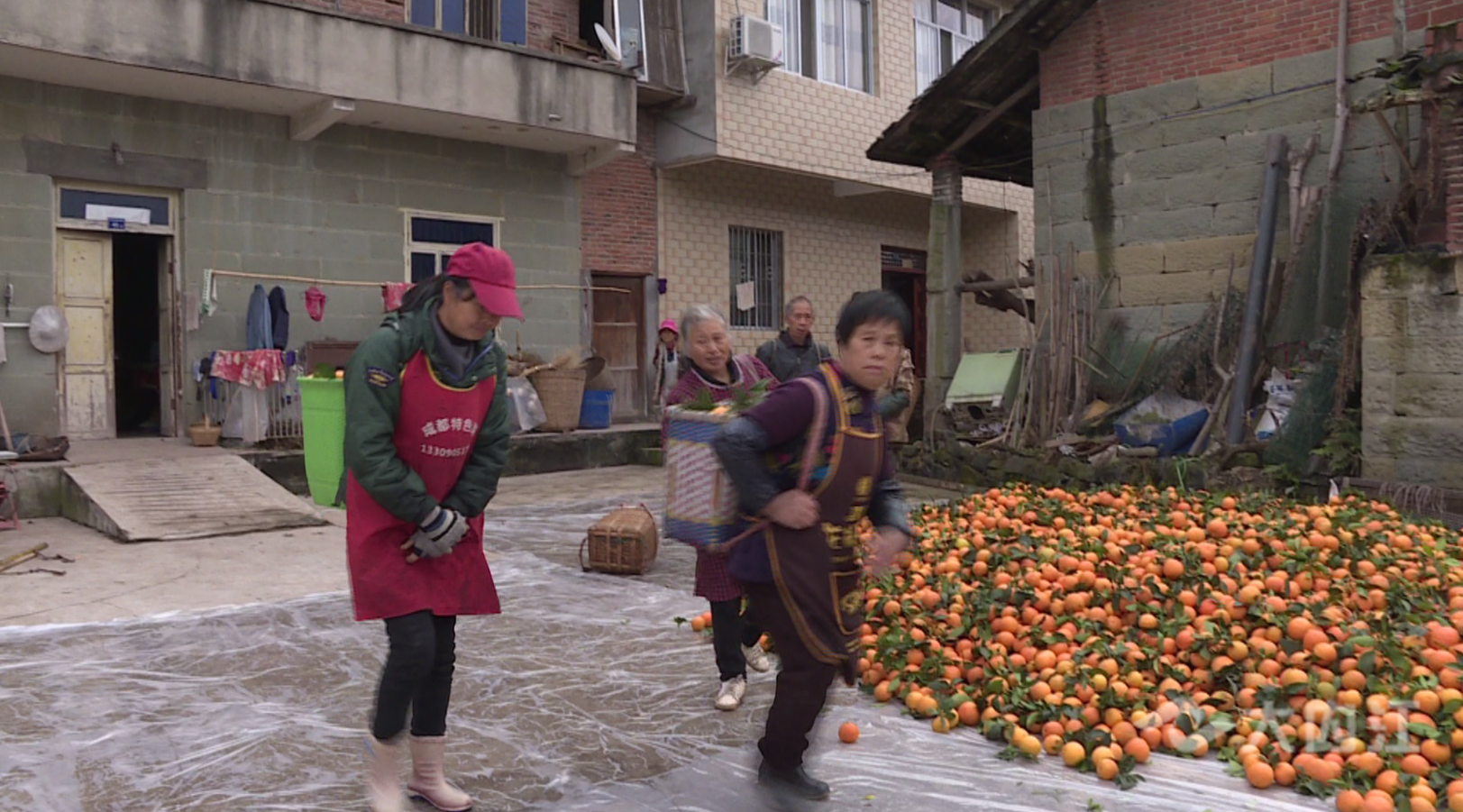 282377_1615971980461369.png QQ图片20210317074417.png