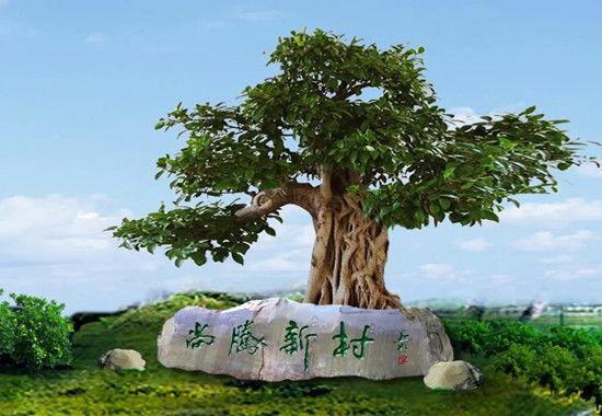 286144_1616814285913630.jpg 微信图片_20210327110228.jpg