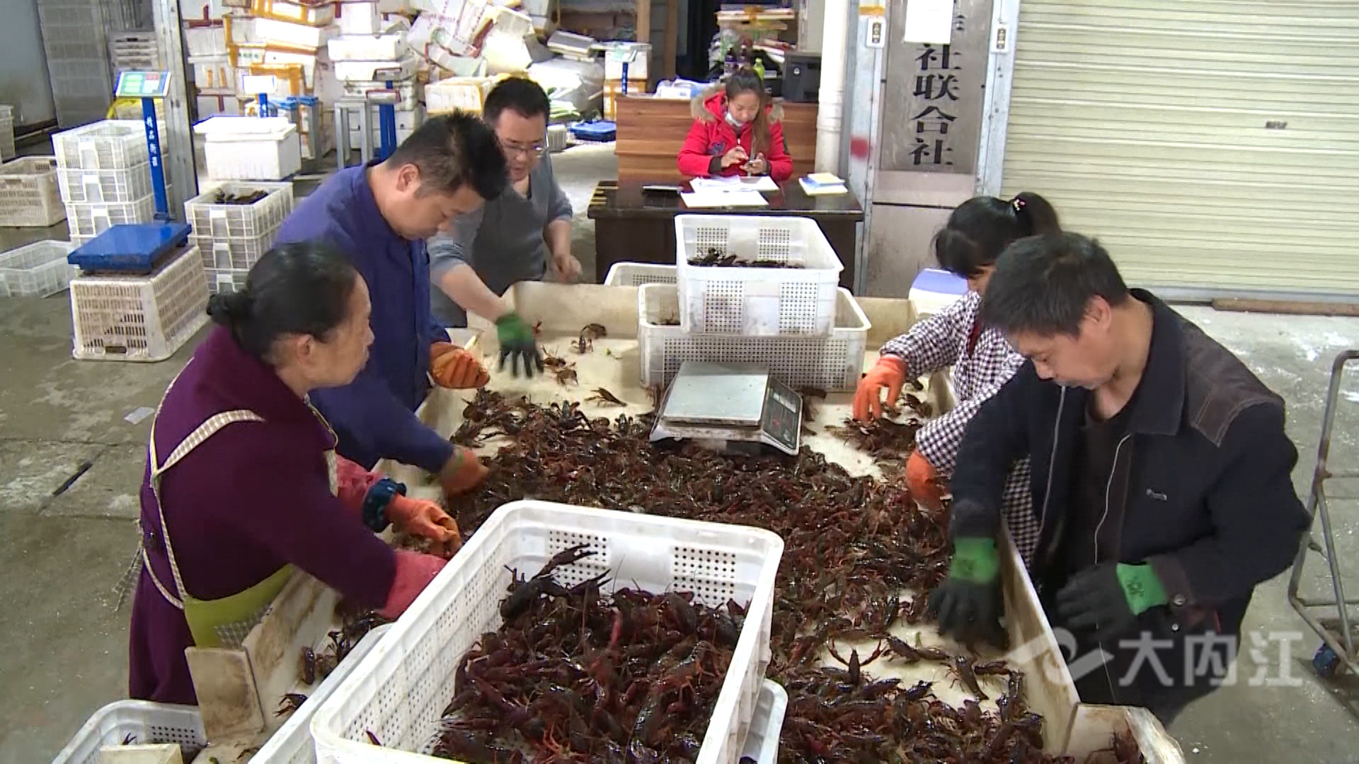 281876_1618305102650339.jpg 微信图片_20210413170957.jpg