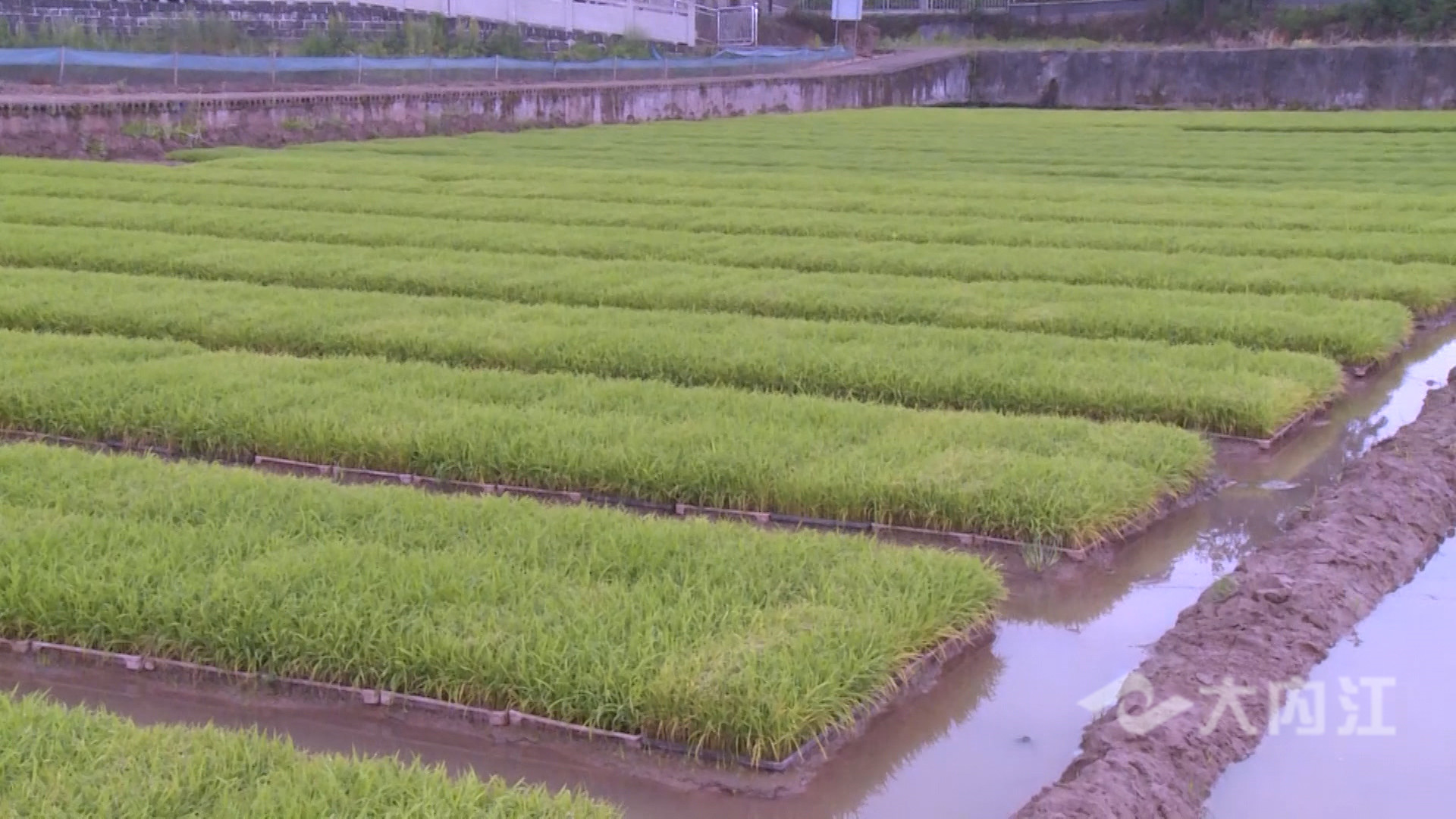 281876_1618305114855813.jpg 微信图片_20210413170938.jpg