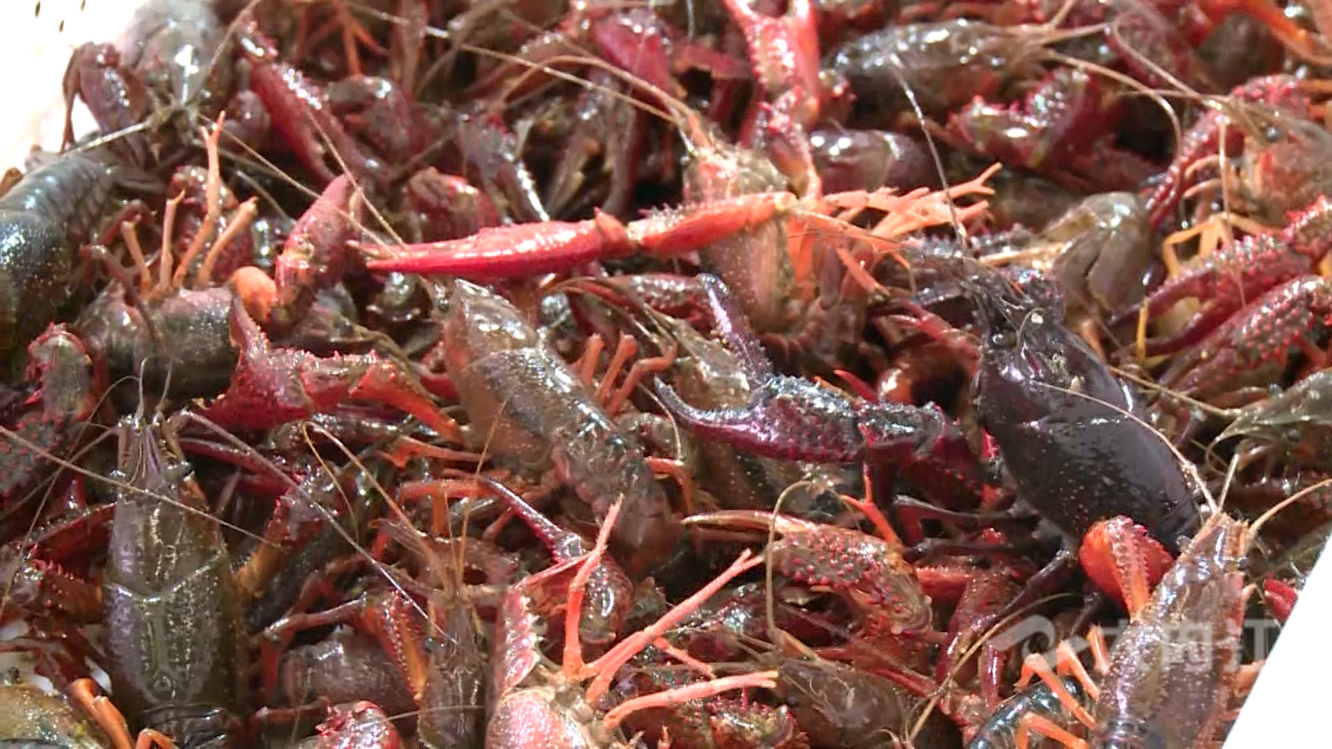 281876_1618305152233286.jpg 微信图片_20210413171001.jpg