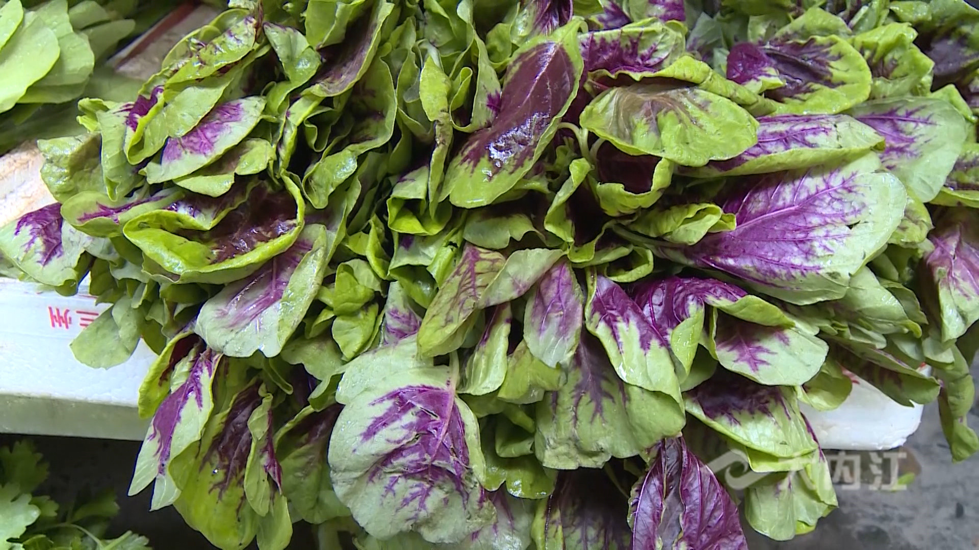 281876_1618384006871486.jpg 微信图片_20210414150505.jpg