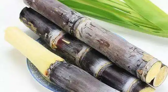 286033_1618369951655119.png 甘蔗的传说.png