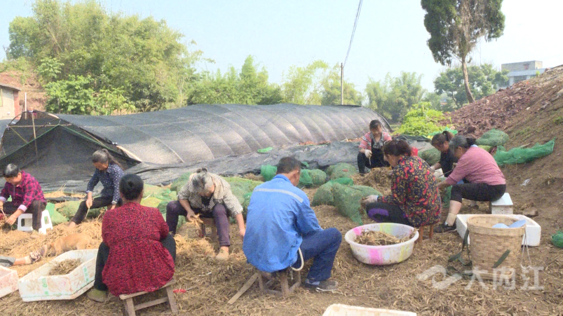 281876_1620701666636141.jpg 微信图片_20210511104844.jpg