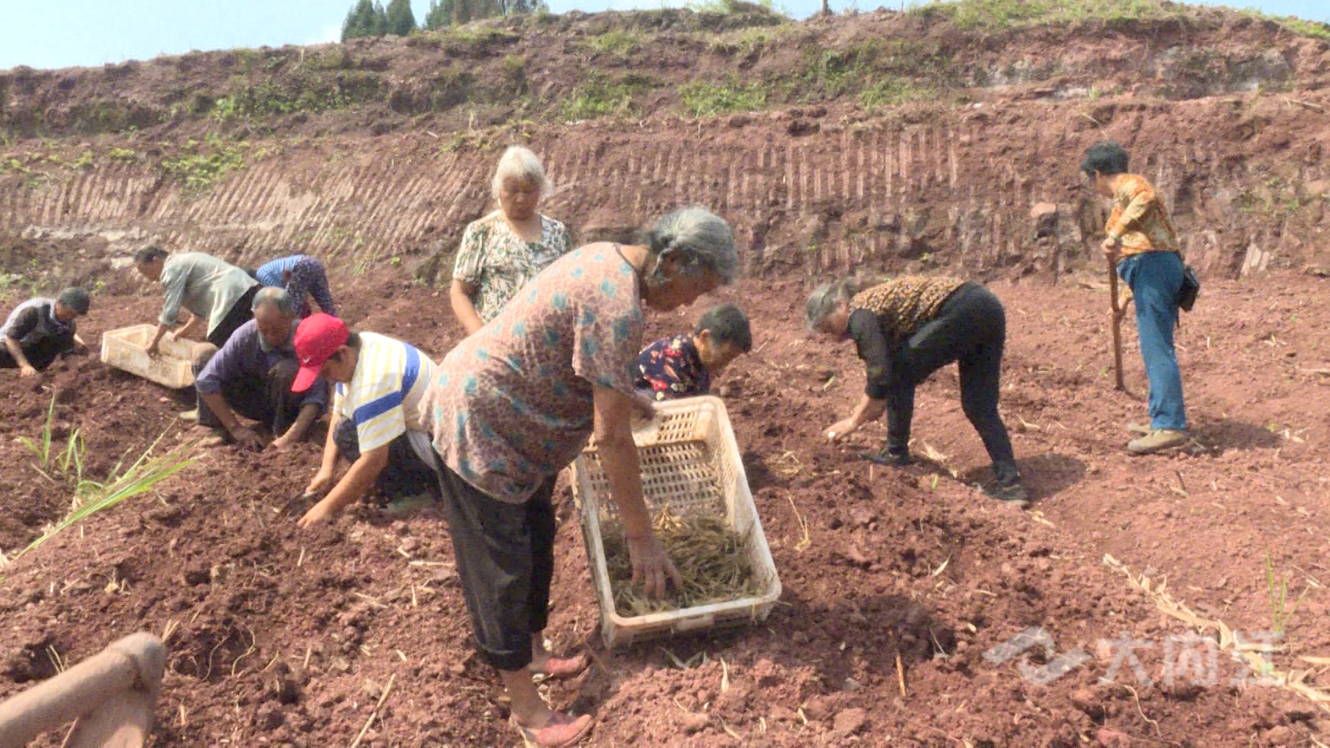 281876_1620701676213387.jpg 微信图片_20210511104901.jpg